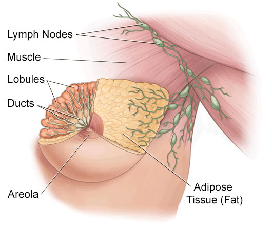 laparoscopic